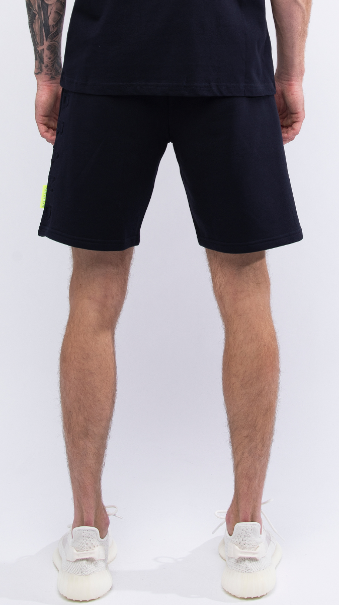 Blue Ink Capsule Capsule Shorts | NAVY