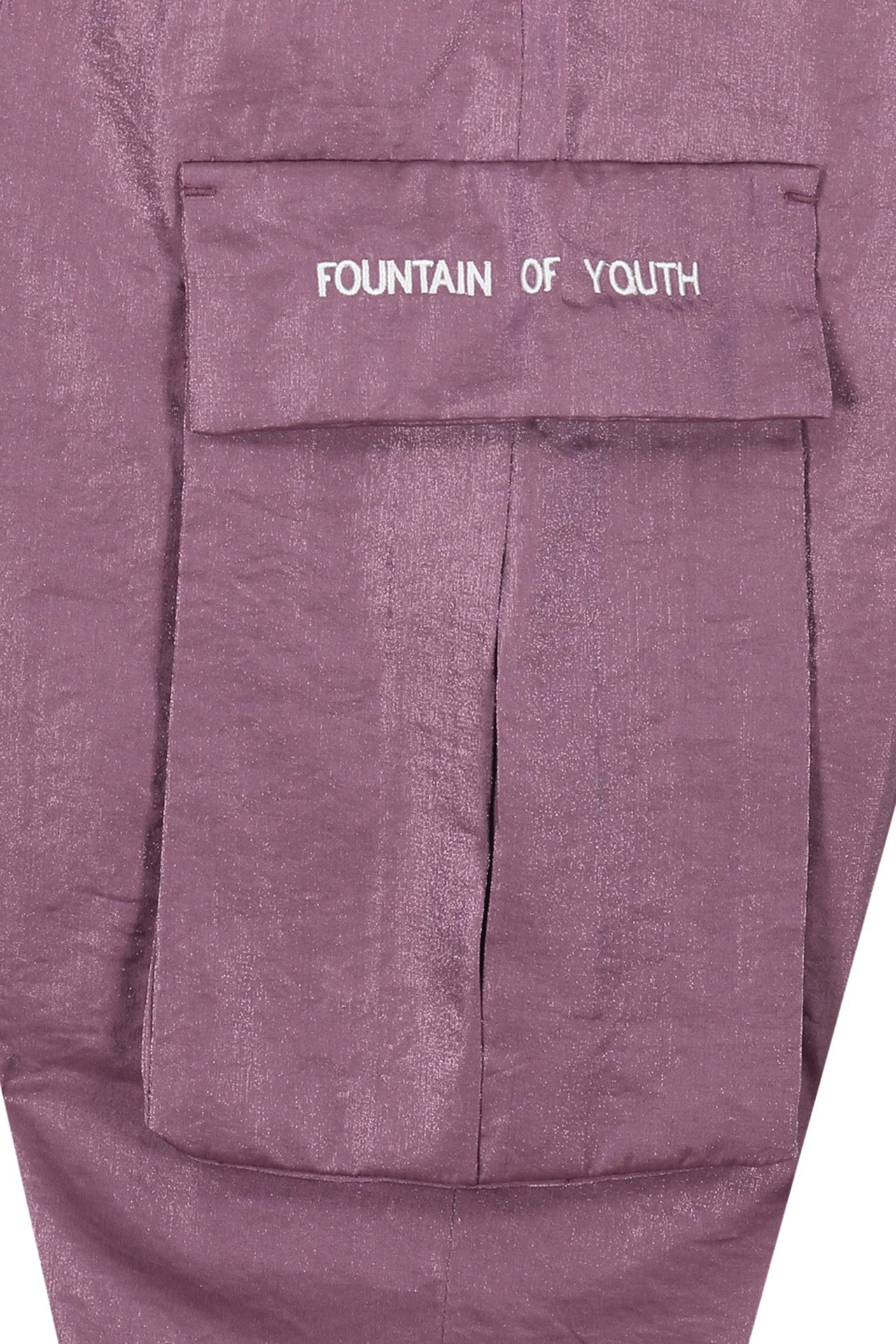 FOY METAL NYLON CARGO PANT | PURPLE