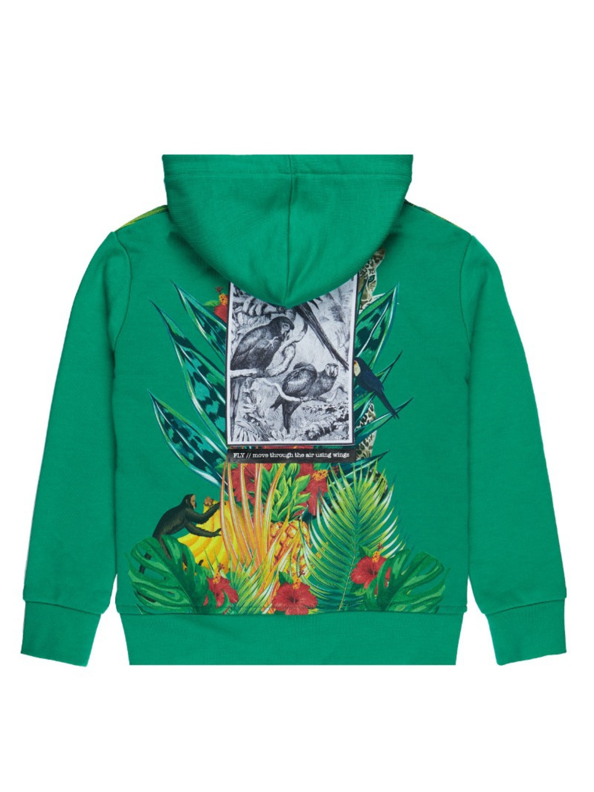 TROPICAL ZIPPER HOODIE | GREEN